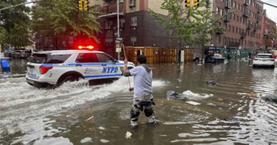 New York : après des pluies et des inondations, les infrastructures de la ville ont été débordées